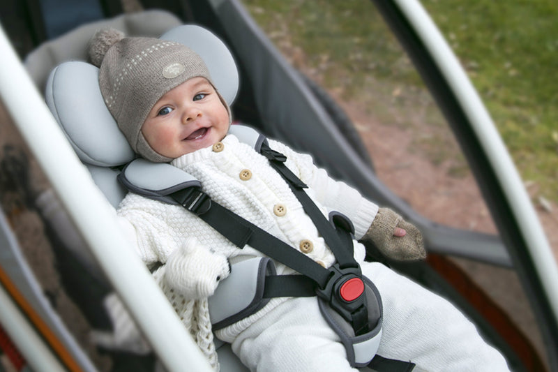 Fahrradanhänger für Babys: Ab wann ist welcher Anhänger geeignet?